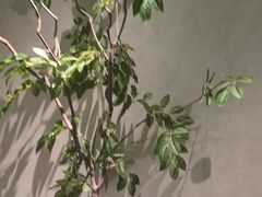 -百富源·海鲜辽菜(张士店)