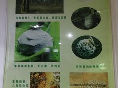 -上海昆虫博物馆