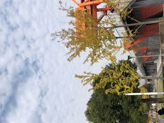 -滨江攀岩