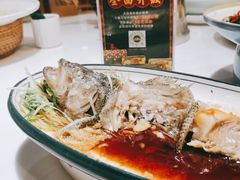 -大鸽饭(马王堆店)