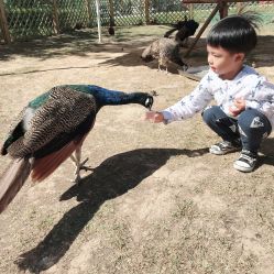 -萌宠亲子动物乐园(槐房万达店)