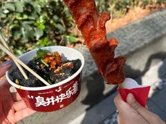 -黑色经典臭豆腐·湖南特产(步行街店)