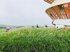 -光明小镇欢乐田园