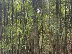 -敬亭山风景名胜区