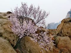 -北京凤凰岭