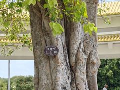 -三亚南山文化旅游区