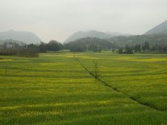 -牛街螺丝田