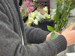 -曲阳花鸟市场(曲阳路店)