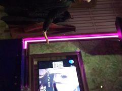 -亿·好声音·量贩KTV(朝阳北路店)