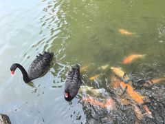 -珠海圆明新园