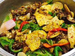 -尕胡才炕锅烤羊肉馆(八一路店)