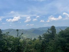 -莫干山风景区