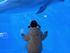-海合安成都极地海洋公园