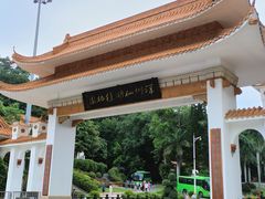 -深圳仙湖植物园