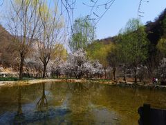 -沕沕水生态风景区