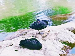-西昌邛海宾馆