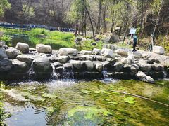 -白水寺森林公园
