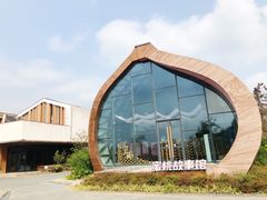 -田园东方蜜桃村的田野营地