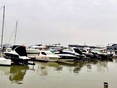 -南沙游艇会·大兵船餐厅