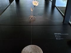 -知美术馆