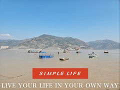 -北岐滩涂