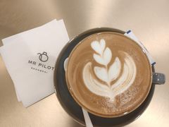 -飞行喵MR PILOT|猫舍·猫咖(静安大融城店)