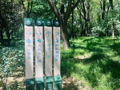 -玲珑塔公园