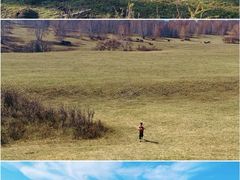 -御道口草原森林风景区
