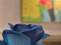 -雀蓝川菜(滨湖万象汇店)