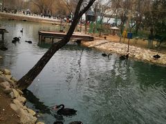 -郑州市动物园