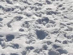 -青州驼山滑雪场