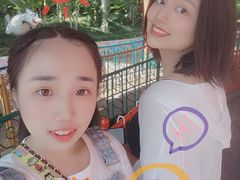 -厦门方特梦幻王国