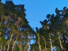 -大雁塔北广场音乐喷泉