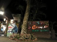 -清迈夜间动物园