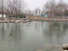 -云居湖