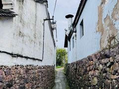 -四明山国家森林公园
