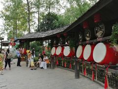 -合肥滨湖国家森林公园