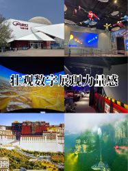 -飞览天下沉浸式飞行体验(北京旗舰店)