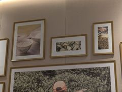 -奈雪的茶(七宝领展广场店)