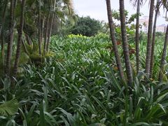 -白沙门生态公园