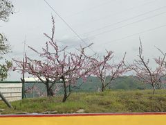 -河口景区
