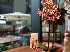 -OGGI TRATTORIA PIZZERIA(深业上城店)