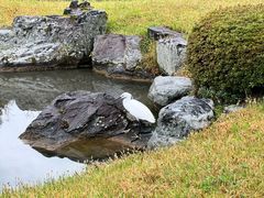 -天龙寺