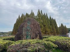 -紫金山山顶公园