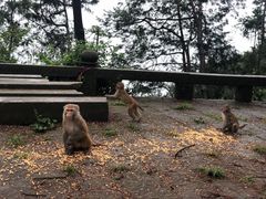 -重庆雨台山风景区