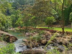 -广州白江湖森林公园