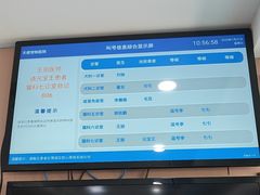 -天使宠物医院·犬猫分诊(彩虹店)