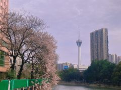-红星桥(地铁站)
