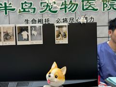 -半岛宠物医院24小时(西派城店)