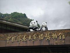 -卧龙自然保护区